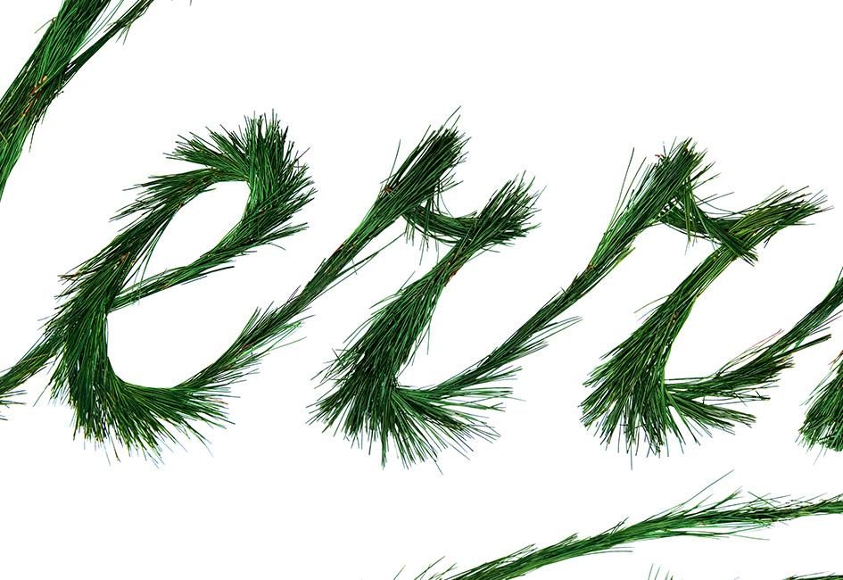 Close up teaser image showing letters "err" from the word "Merry" that had been created from thousands of pine needles for holiday greeting card by Carolyn Porter of Porterfolio, Inc.