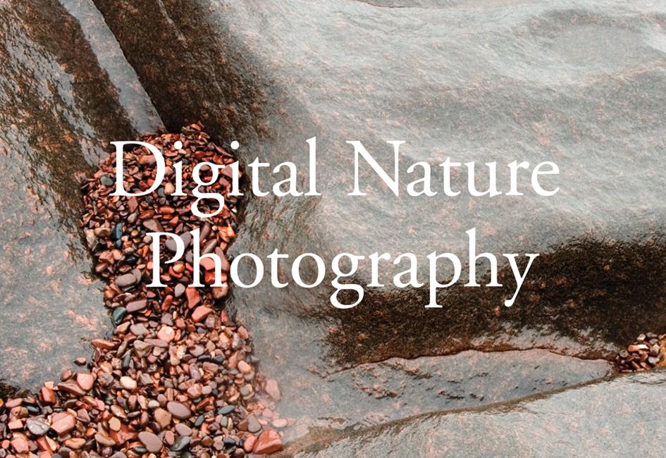 Close up teaser image of cover page from Digital Nature Photography book designed by Carolyn Porter of Porterfolio, Inc.