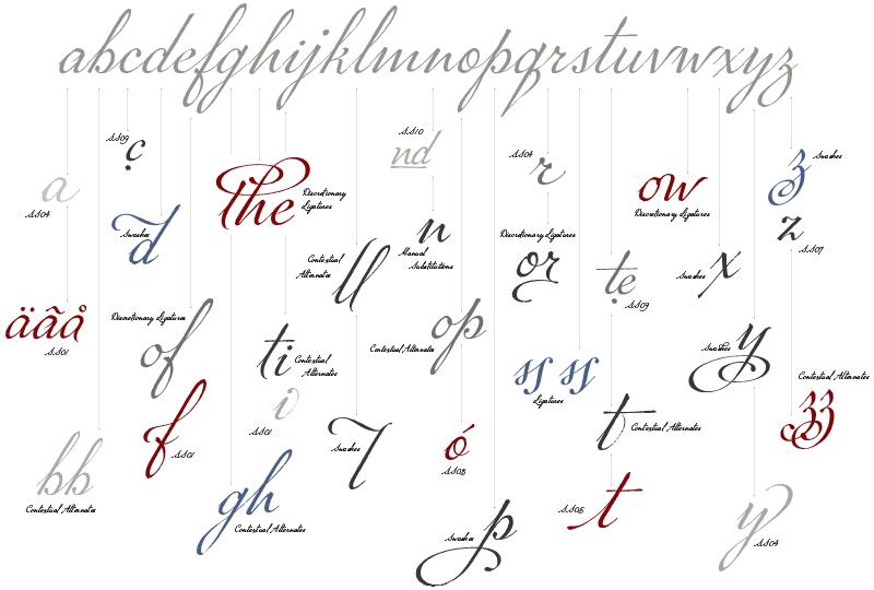 Image of P22 Marcel Script showing a sample of alternative glyphs, designed by Carolyn Porter.