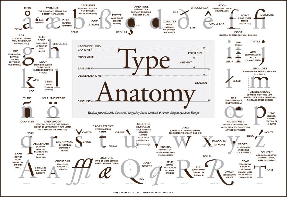 Image of a type anatomy poster, designed by Carolyn Porter of Porterfolio, Inc. The poster shows a variety of letters with notes about their construction: terminals, shoulders, bowls, beaks, spines, ascenders and descenders, etc.
