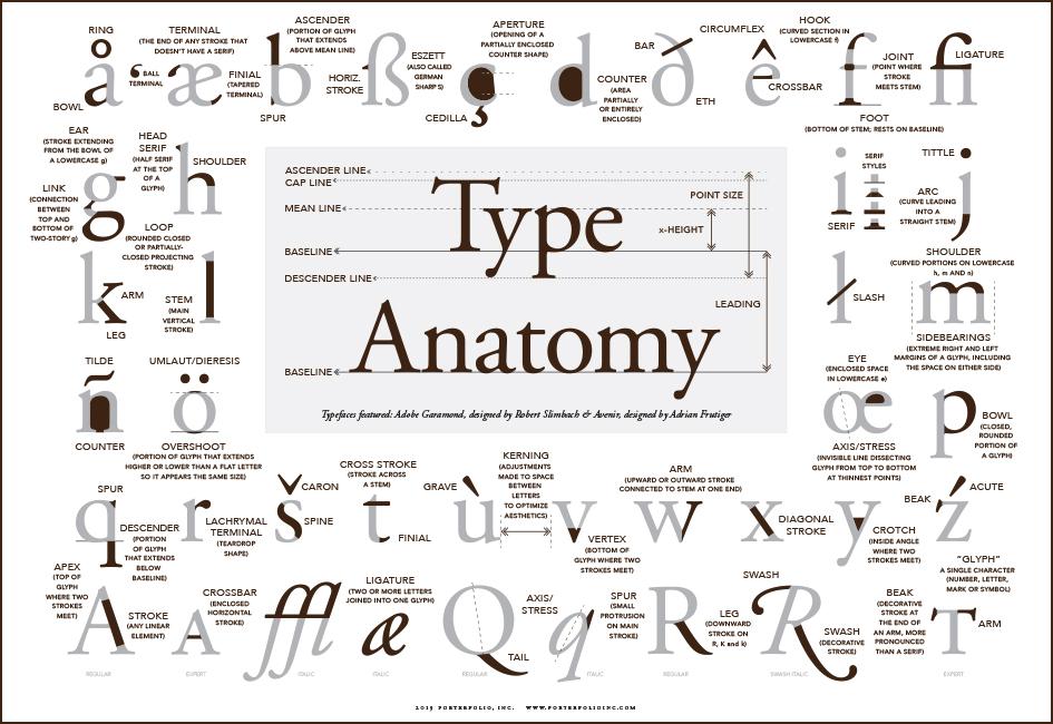 Type Anatomy - The Parts Of Letters (+FREE Poster)